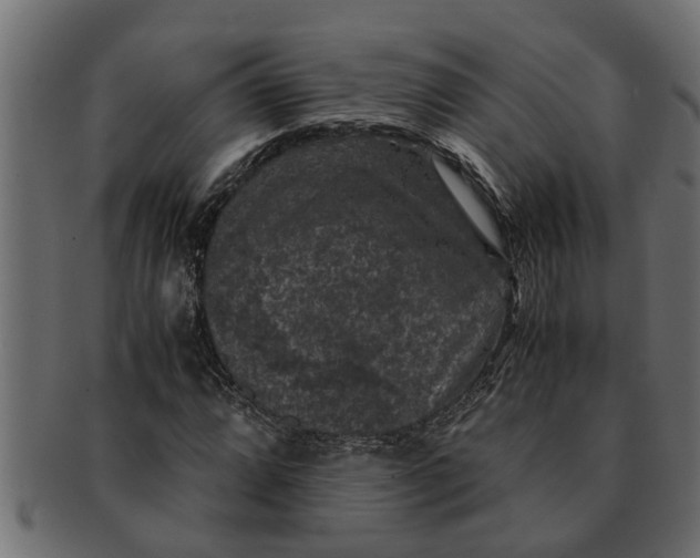 X0000091551064200709071211