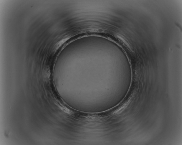 X0000091551065200709071211