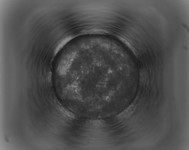 X0000091551066200709071211