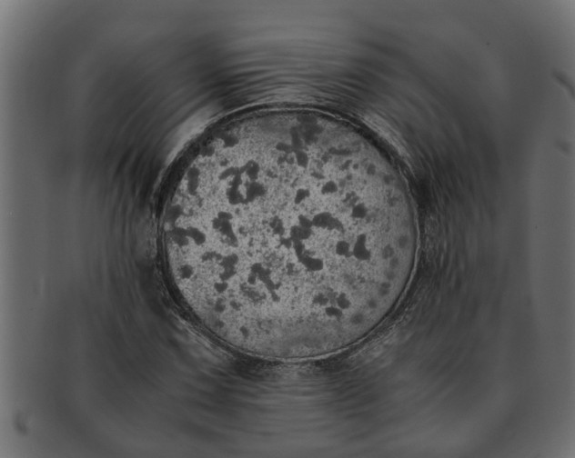 X0000091551067200709071211