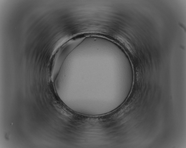 X0000091551069200709071211