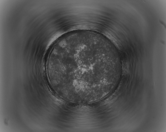 X0000091551070200709071211