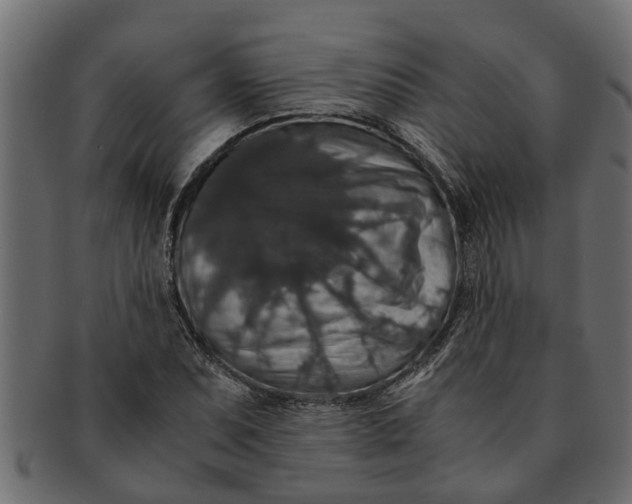 X0000091551071200709071211