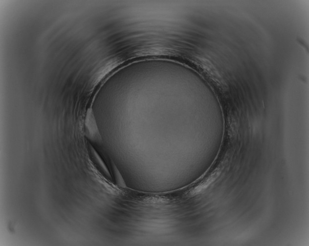 X0000091551073200709071211