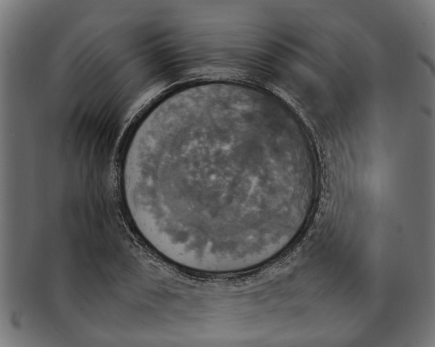 X0000091551074200709071211