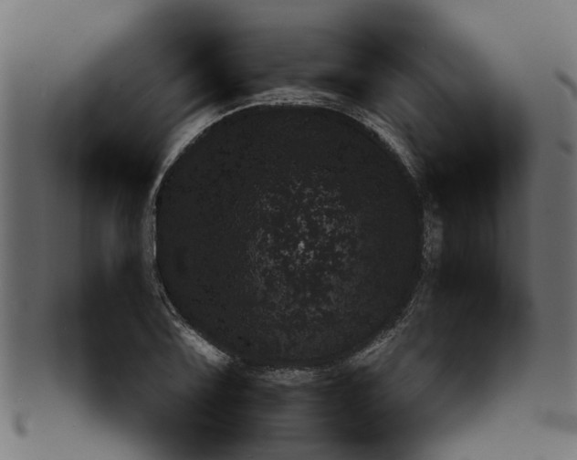 X0000091551075200709071211