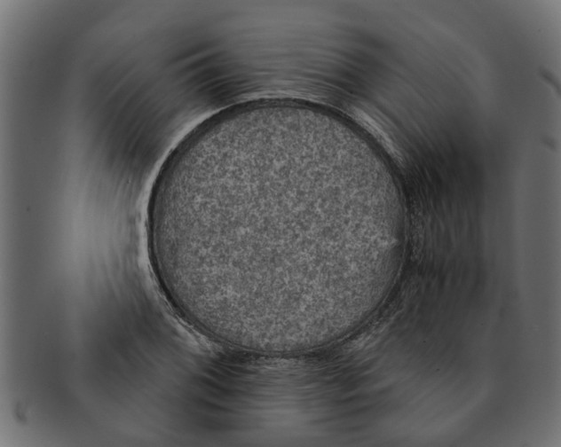 X0000091551076200709071211