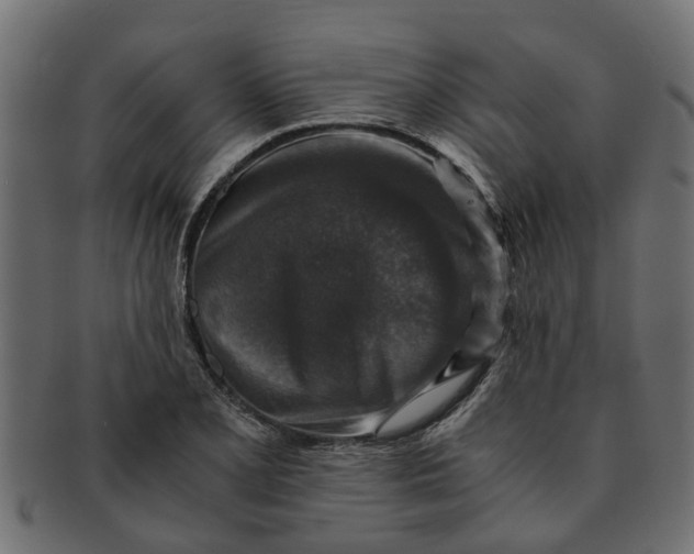 X0000091551077200709071211