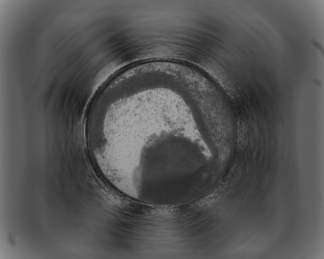 X0000091551078200709071211
