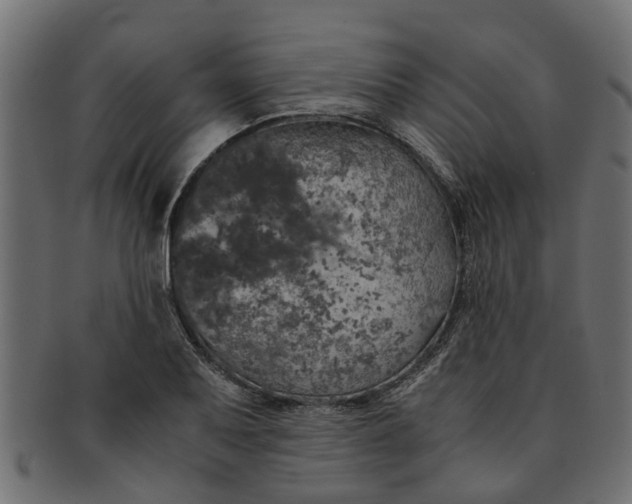 X0000091551079200709071211