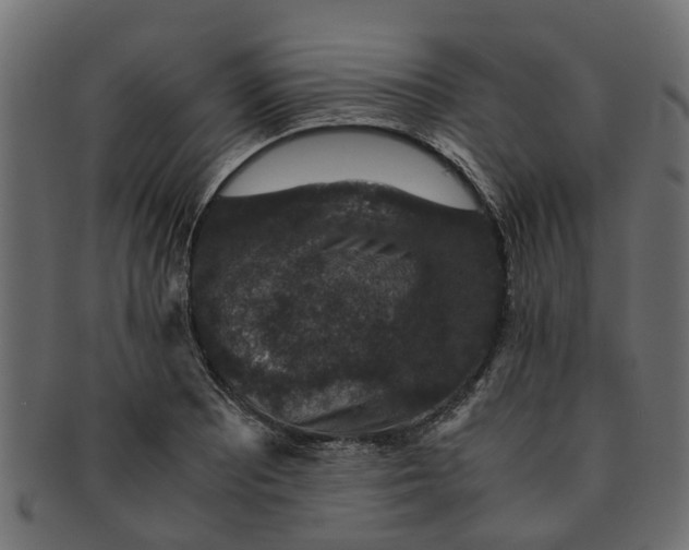 X0000091551081200709071211