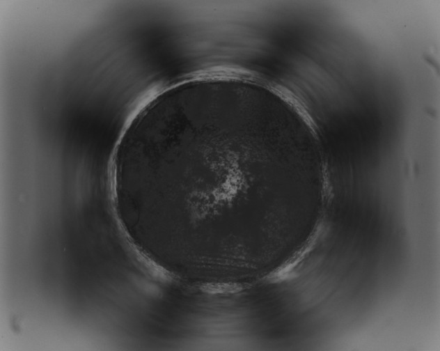 X0000091551083200709071211
