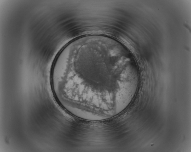 X0000091551084200709071211