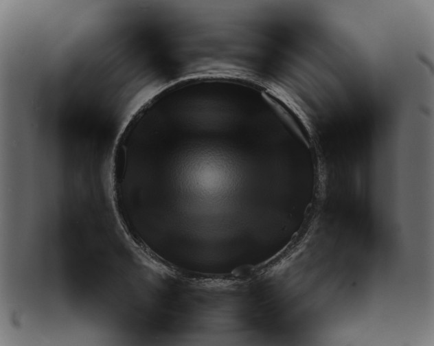 X0000091551085200709071211