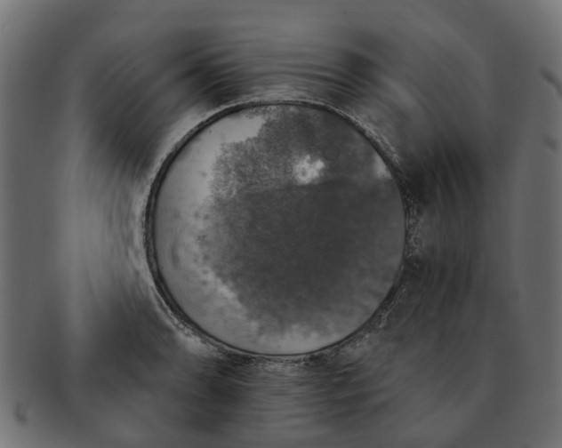 X0000091551086200709071211