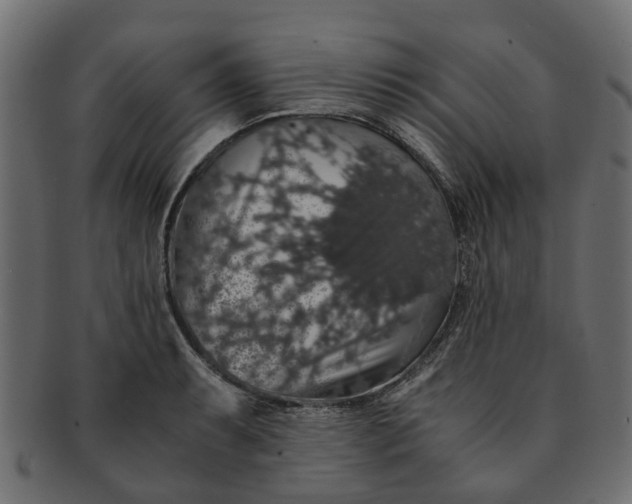 X0000091551087200709071211