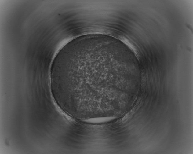 X0000091551088200709071211