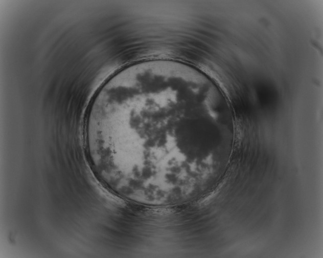 X0000091551090200709071211