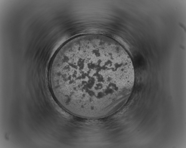 X0000091551091200709071211