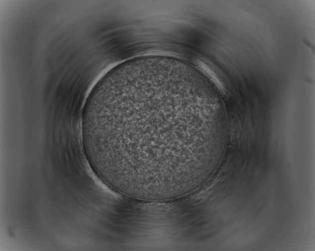 X0000091551092200709071211