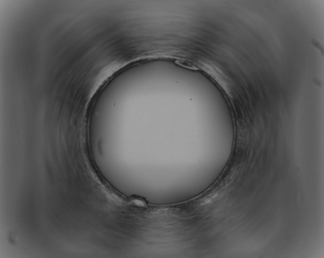 X0000091551093200709071211