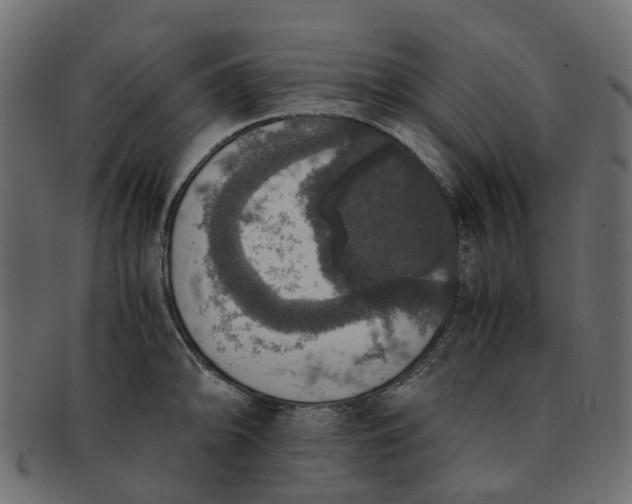 X0000091551094200709071211