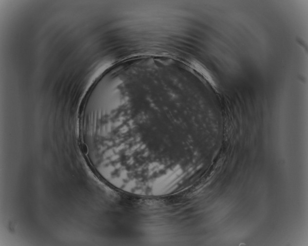 X0000091551095200709071211