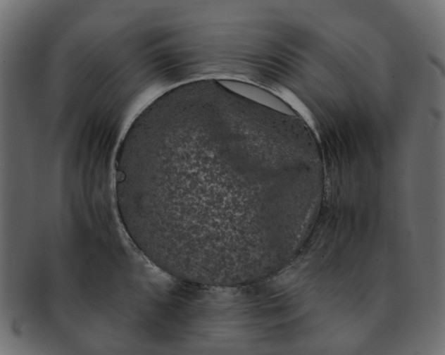 X0000091551096200709071211