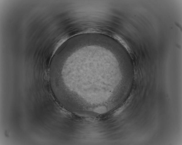 X0000091551097200709071210