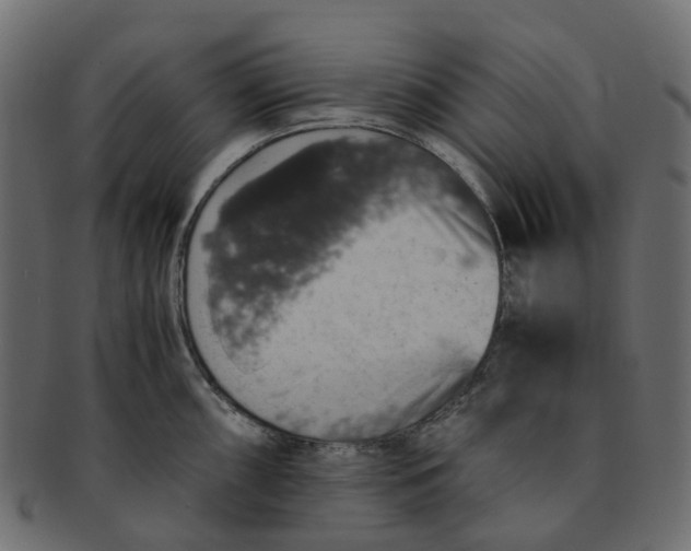 X0000091551098200709071210