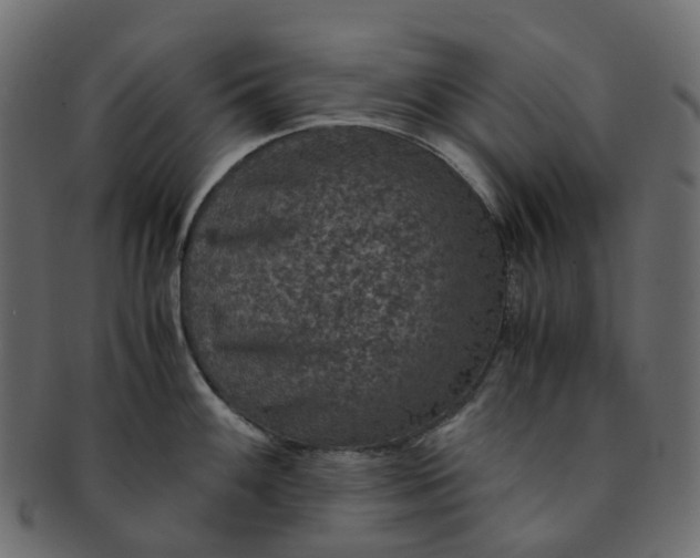 X0000091551100200709071210