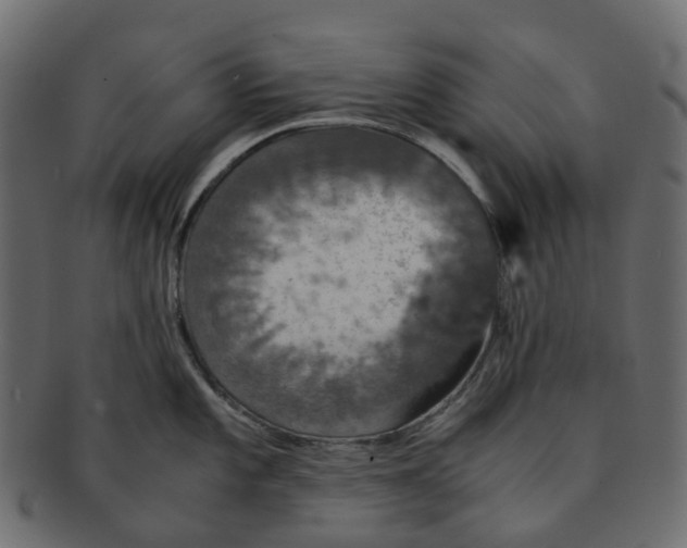 X0000091551101200709071210
