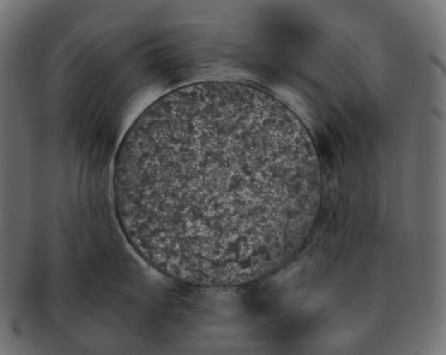 X0000091551103200709071210