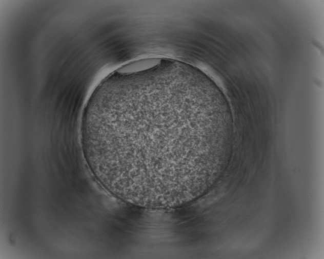X0000091551104200709071210