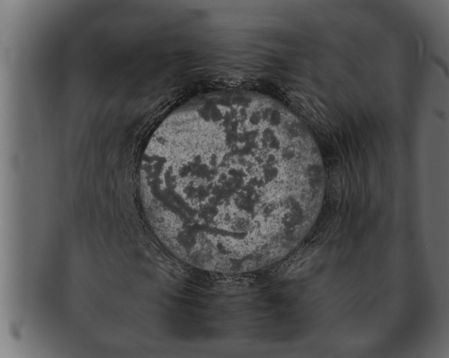 X0000091551105200709071210