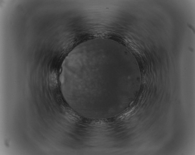 X0000091551106200709071210