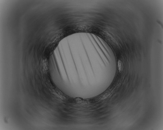 X0000091551107200709071210