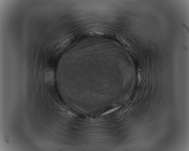 X0000091551108200709071210