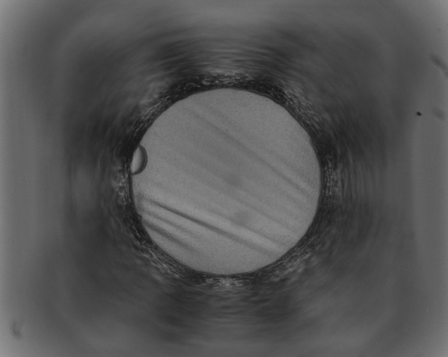 X0000091551109200709071210