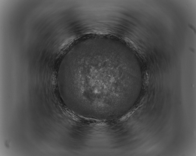 X0000091551110200709071210