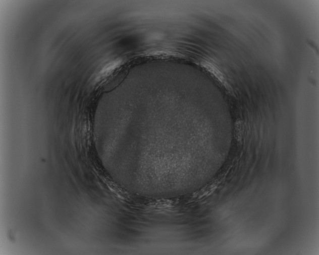 X0000091551111200709071210