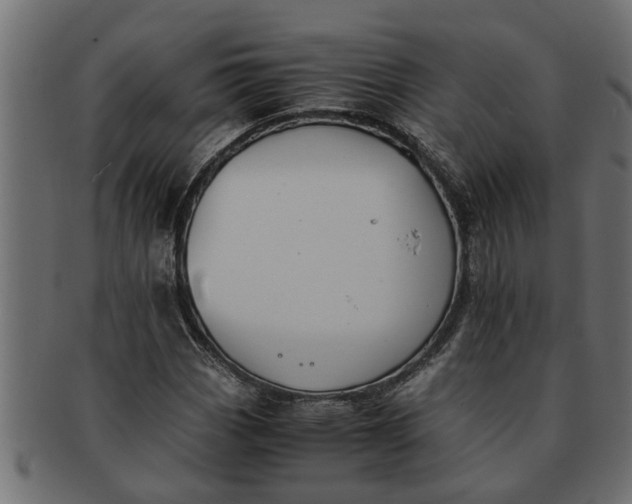 X0000091551113200709071210