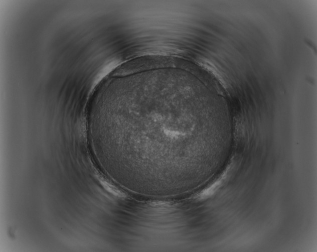 X0000091551114200709071210