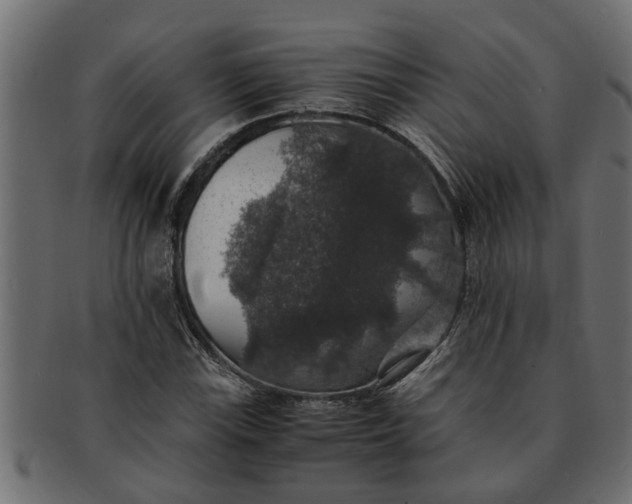 X0000091551115200709071210