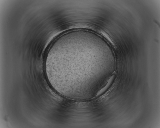 X0000091551116200709071210