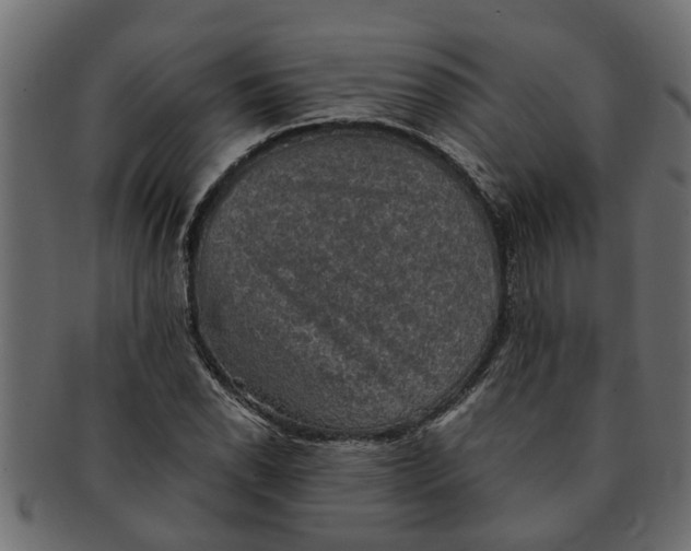 X0000091551118200709071210