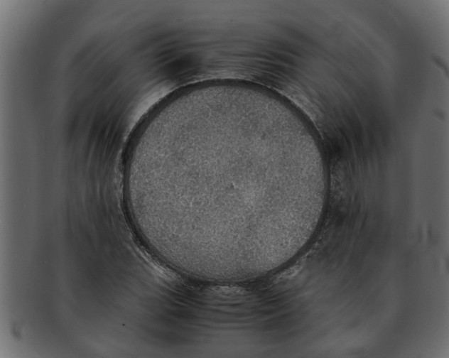 X0000091551119200709071210