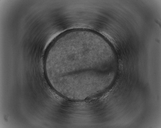 X0000091551120200709071210