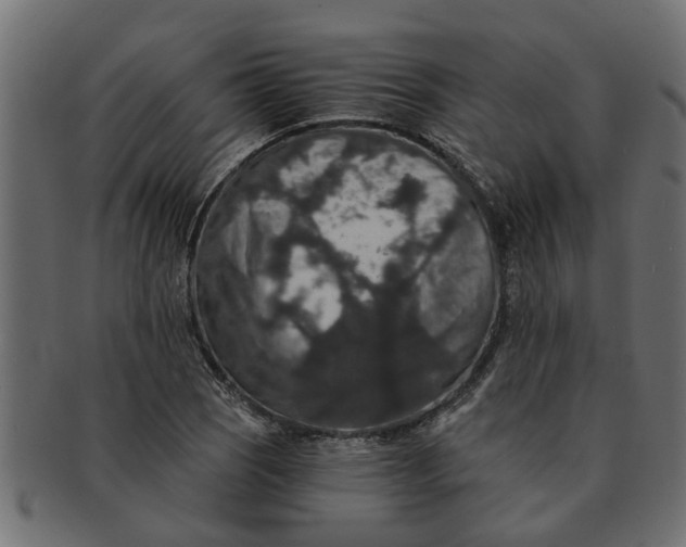 X0000091551121200709071210