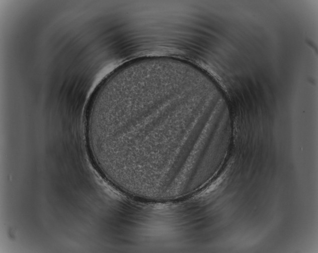 X0000091551122200709071210